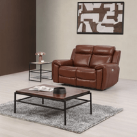 Brown leather sofa in a living room setting with a coffee table and decorative elements.