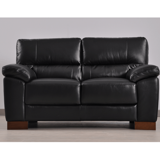Dalmore Black 2-seater sofa front facing in room setting with modern sleek design