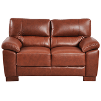 Tan 2-seater sofa front facing on white background with modern sleek design