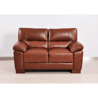 Tan 2-seater sofa front facing in room setting with modern sleek design