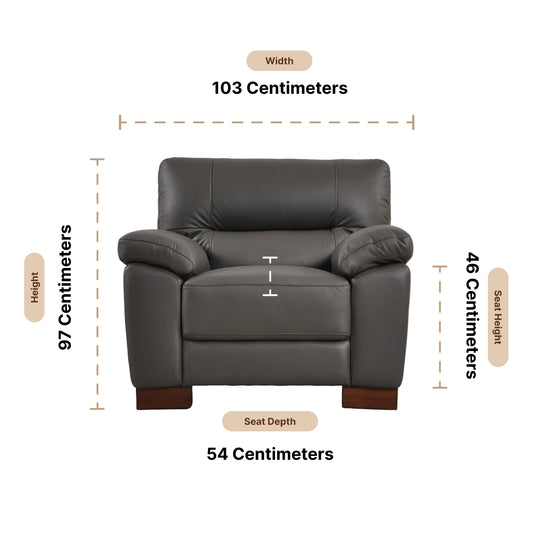 Dalmore Genuine Leather Grey Armchair