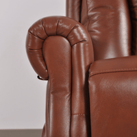 Close-up of a brown leather armchair with a blurred background