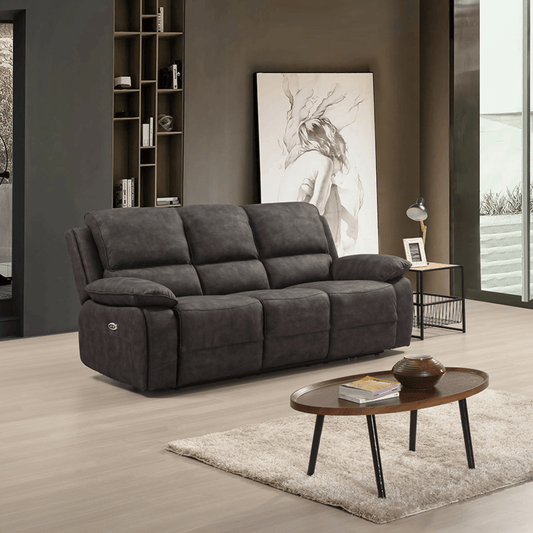 Gray sofa in a living room with a wooden coffee table and decorative items.