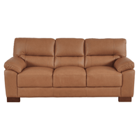 Brown leather sofa on a white background