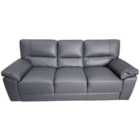 Gray leather sofa on a white background