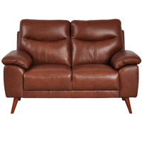 Vantage Tan 2-Seater Sofa front facing on white background, showing cushions, clean lines, and modern design details