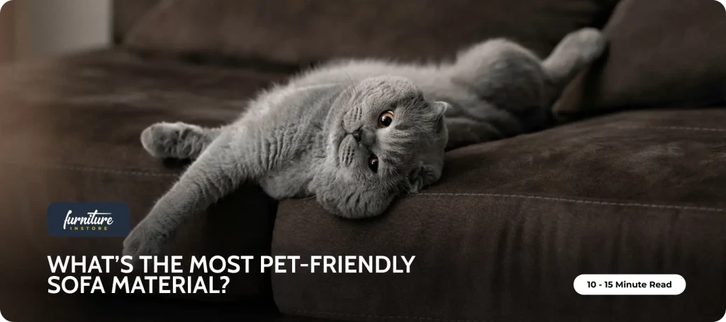 What’s the Most Pet-Friendly Sofa Material? - Furniture Instore