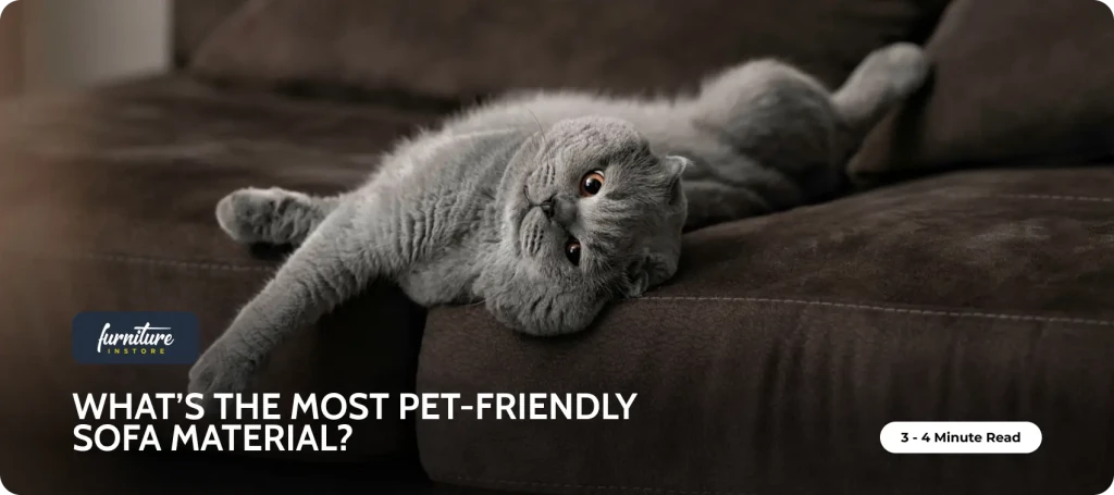 What’s the Most Pet-Friendly Sofa Material? - Furniture Instore