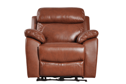 Dandrea Genuine Leather Tan Electric Power Recliner Armchair