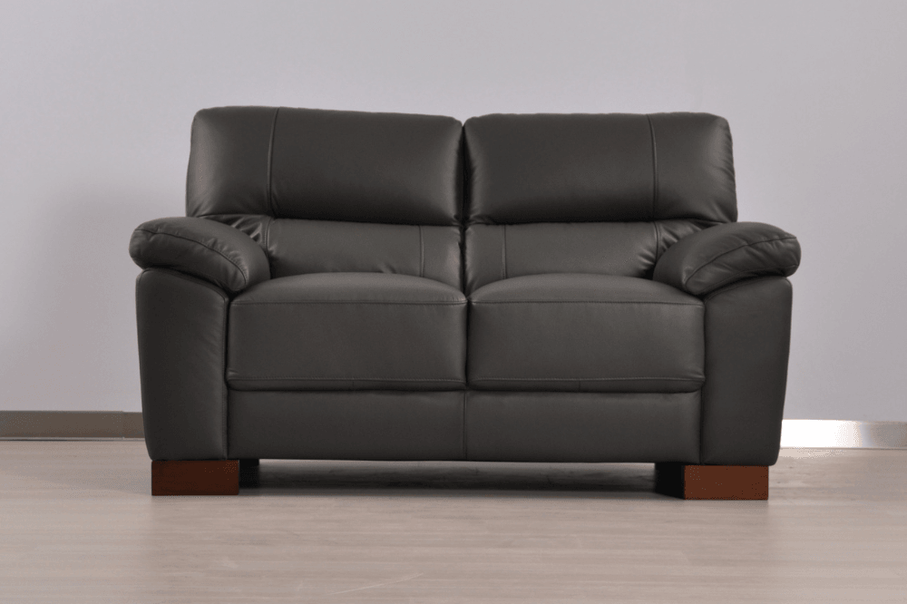 Dalmore Genuine Leather Grey 2 Seater Sofa - Furniture Instore