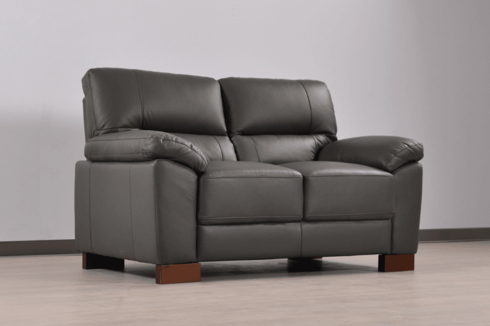 Dalmore Genuine Leather Grey 2 Seater Sofa - Furniture Instore