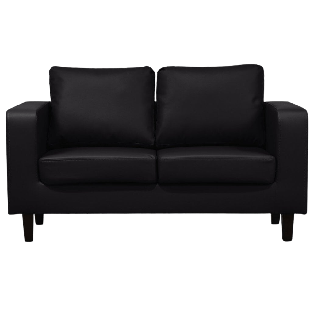 Black leather sofa with two cushions on a white background
