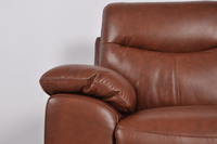Vantage Genuine Leather Tan 2+2 Seater Sofa Set - Furniture Instore