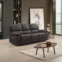 Gray sofa in a living room with a wooden coffee table and decorative items.