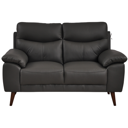 Vantage Genuine Leather Grey 2 Seater Sofa