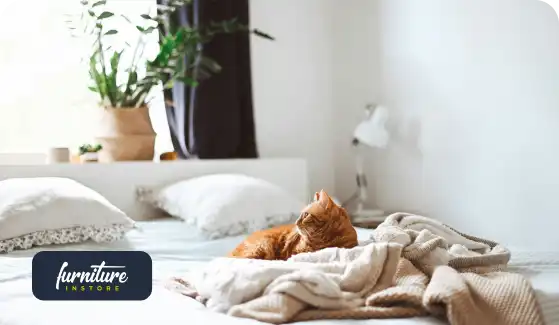 When Does a Double Bed Sofa Bed Make More Sense Than a Regular Bed?