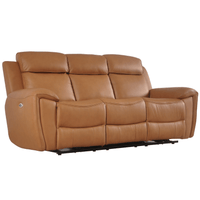 Brown leather sofa on a white background
