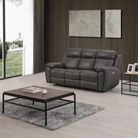 Gray leather sofa in a modern living room with a wooden coffee table and large windows.