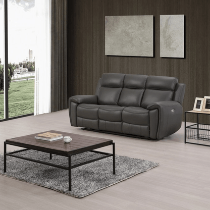 Gray leather sofa in a modern living room with a wooden coffee table and large windows.