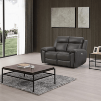 Gray recliner sofa in a modern living room with a wooden coffee table and decorative items.