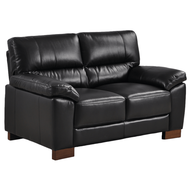 Dalmore Black 2-seater sofa angled view on white background with modern sleek design