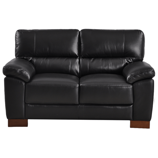 Dalmore Black 2-seater sofa front facing on white background with modern sleek design
