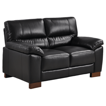 Dalmore Black 2-seater sofa angled view on white background with modern sleek design