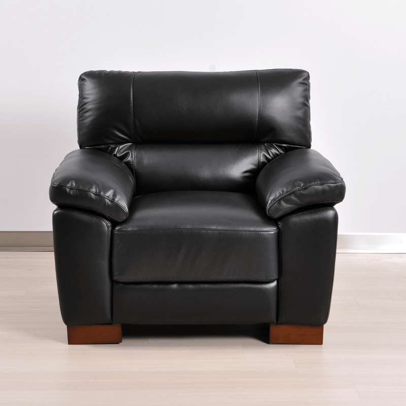 Dalmore Black armchair front facing on white background with modern sleek design
