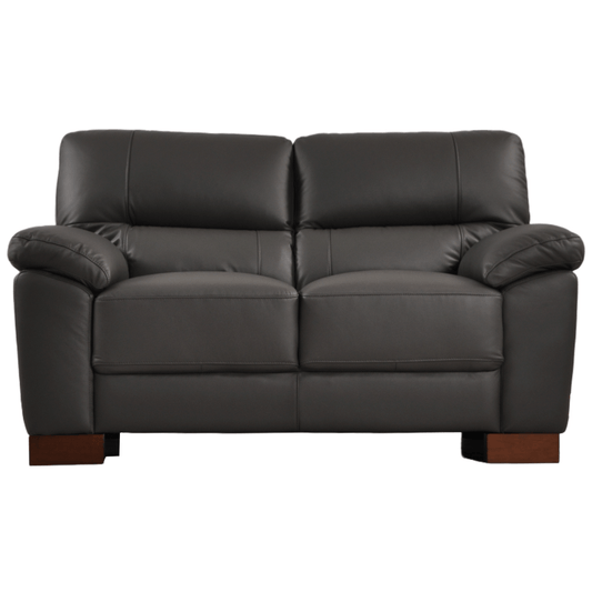 Front-facing view of the Dalmore Genuine Leather Grey 2-Seater Sofa on a white background.