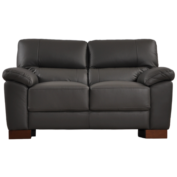 Dalmore Genuine Leather Grey 2 Seater Sofa
