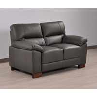 Dalmore Grey 2 Seater Sofa – Angled view in a cozy room setting, showcasing plush grey fabric and modern design.