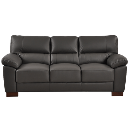 Grey Leather Couch