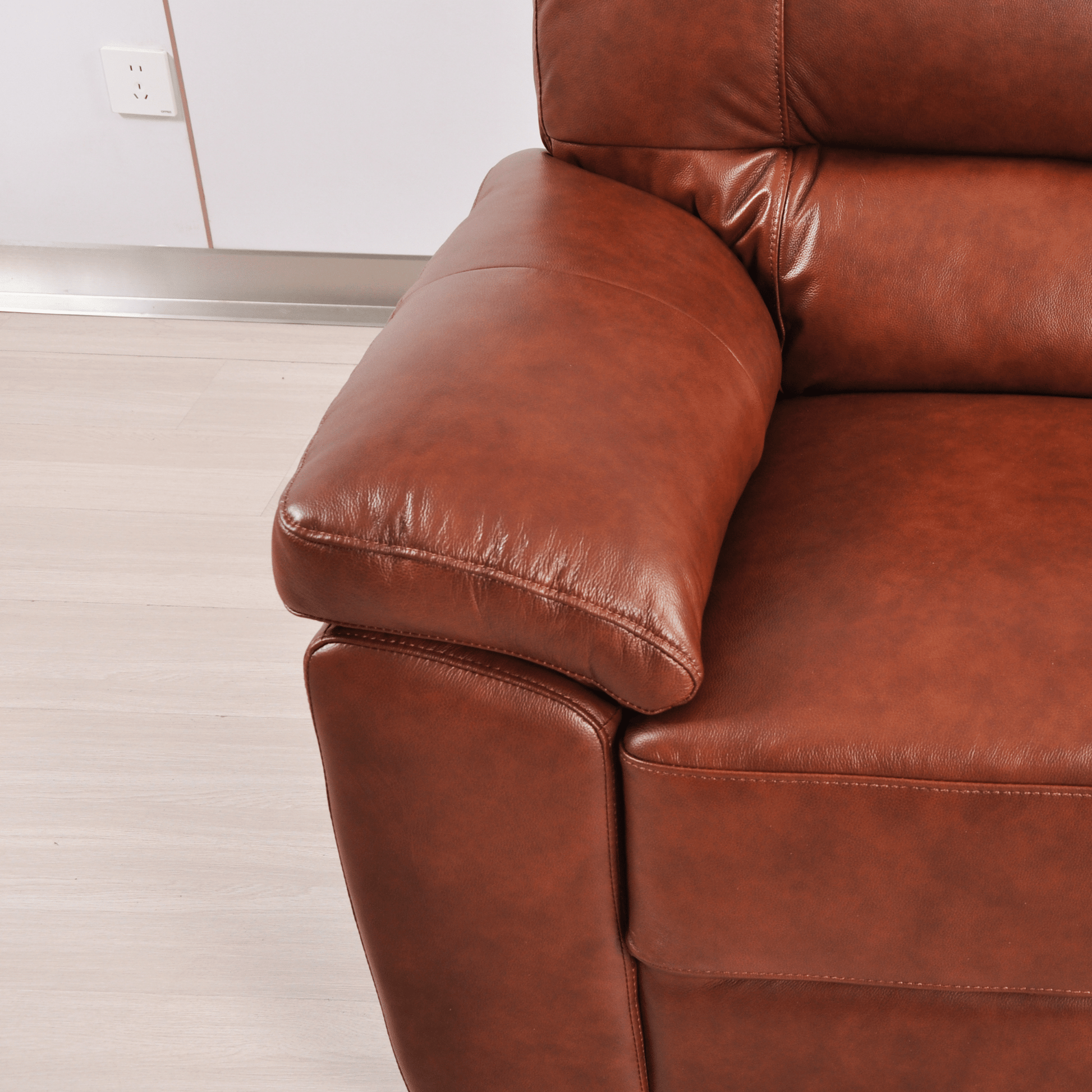 Tan 2-seater sofa close-up view on white background with modern sleek design