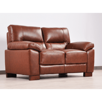 Tan 2-seater sofa angled view on white background with modern sleek design