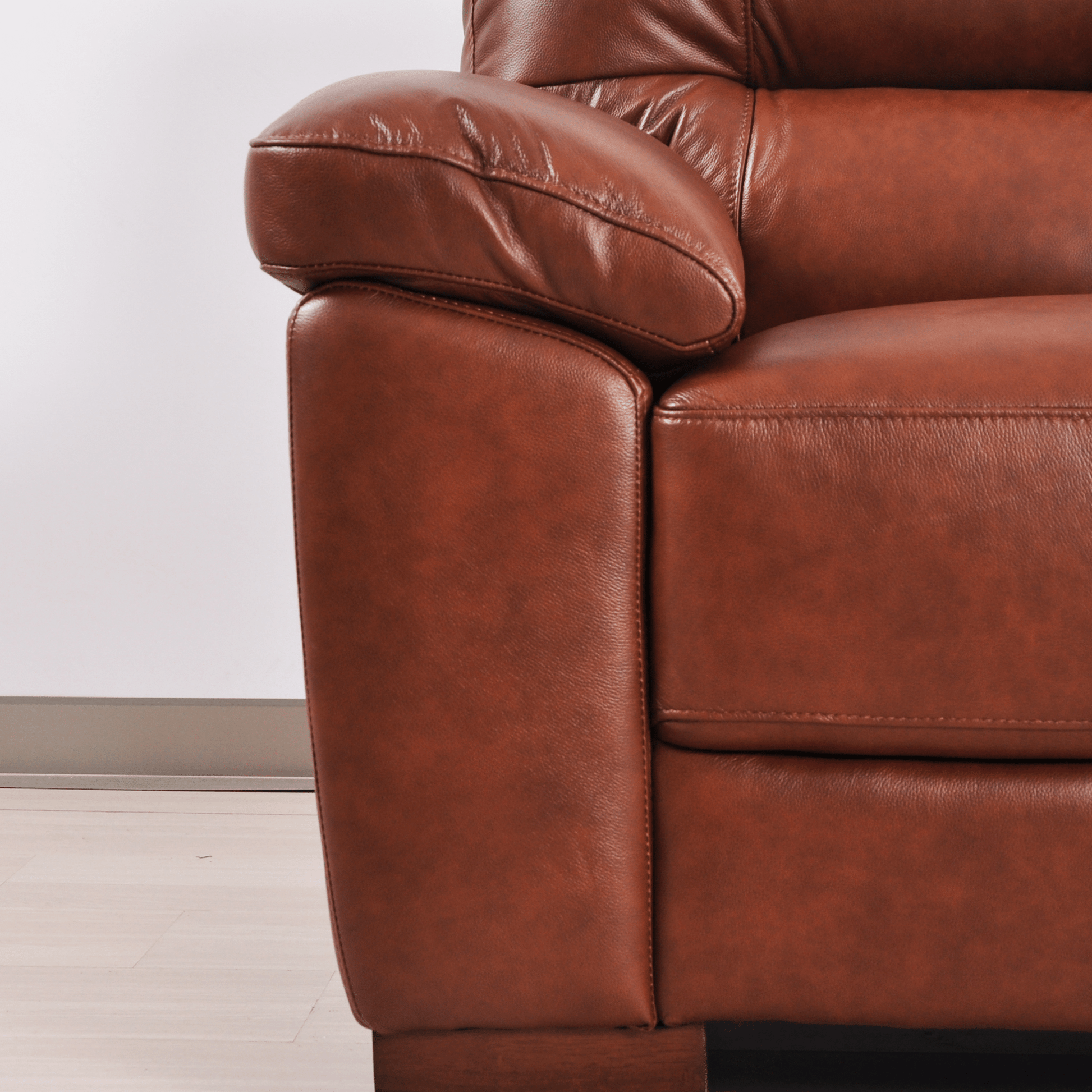 Tan 2-seater sofa close-up view in room setting with modern sleek design