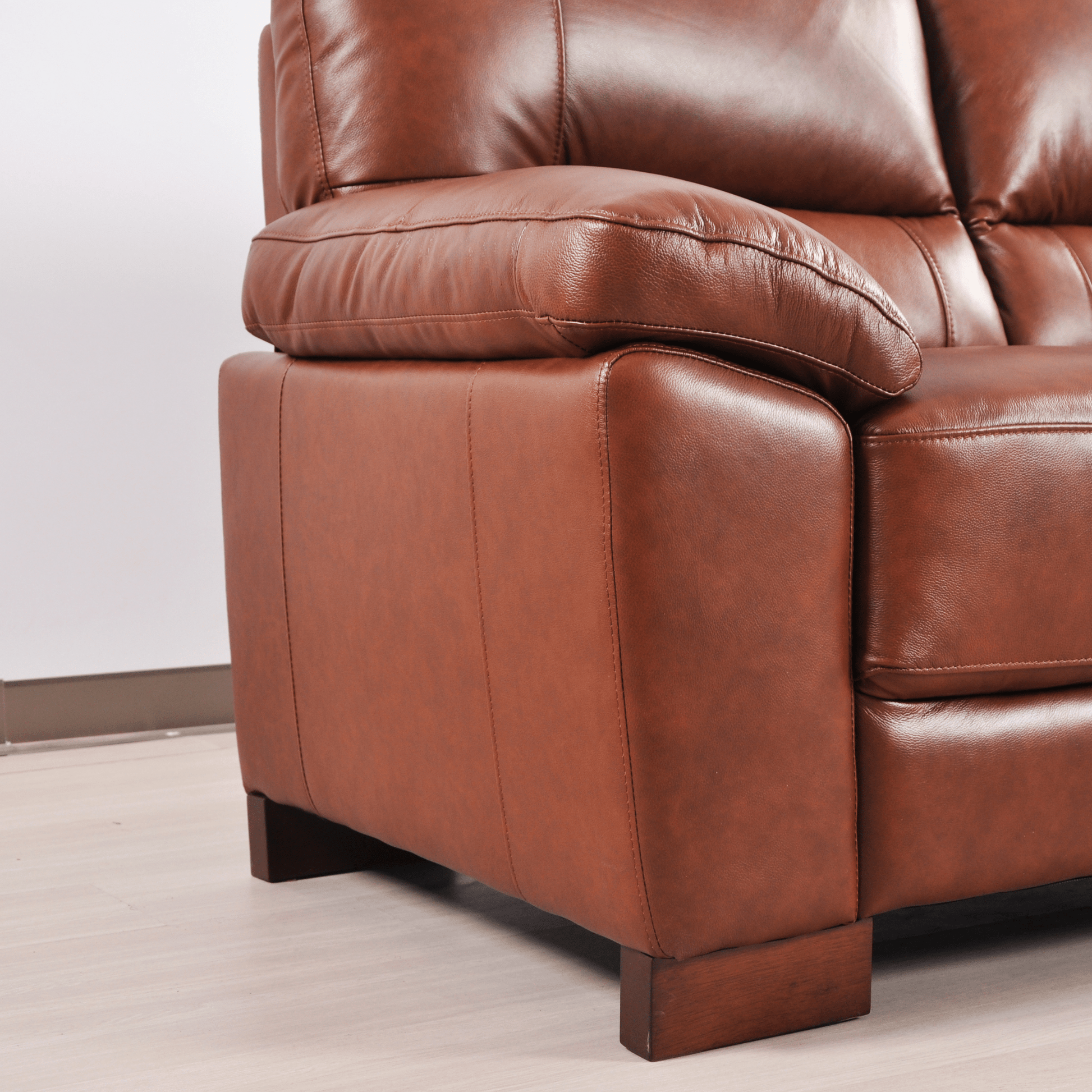 Tan 2-seater sofa close-up view on white background with modern sleek design
