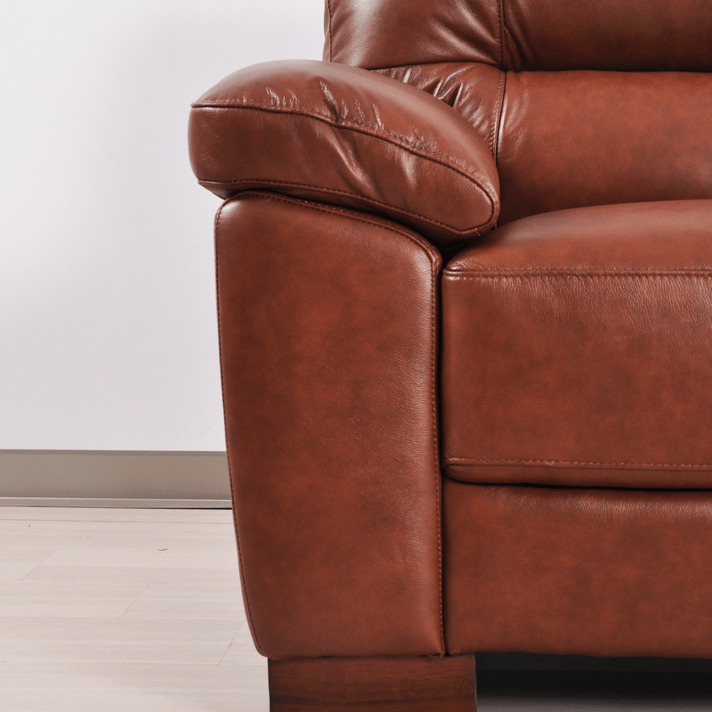 Dalmore Tan Armchair – Detailed close-up highlighting plush tan upholstery and fine stitching details.