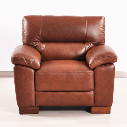 Dalmore Tan Armchair – Front-facing view in a cozy room setting, featuring warm tan fabric and sleek modern design.