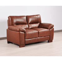 Dalmore Tan 2 Seater Sofa – Front-facing view in a cozy room setting, featuring warm tan fabric and contemporary design.