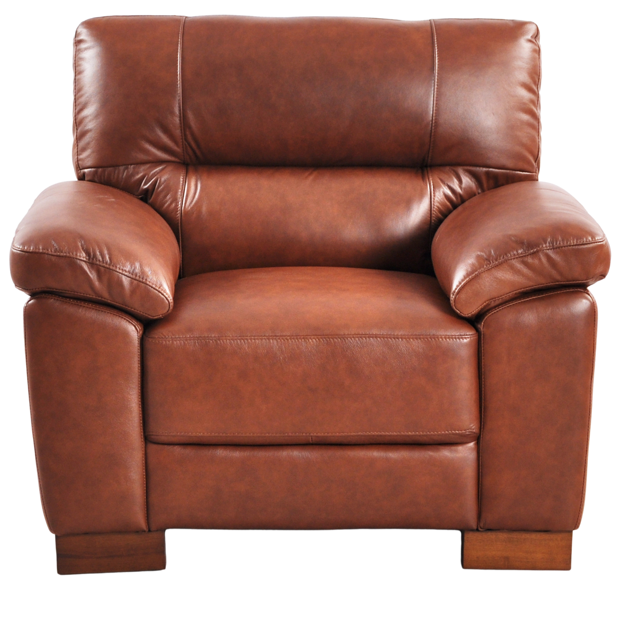 Genuine Leather Armchair