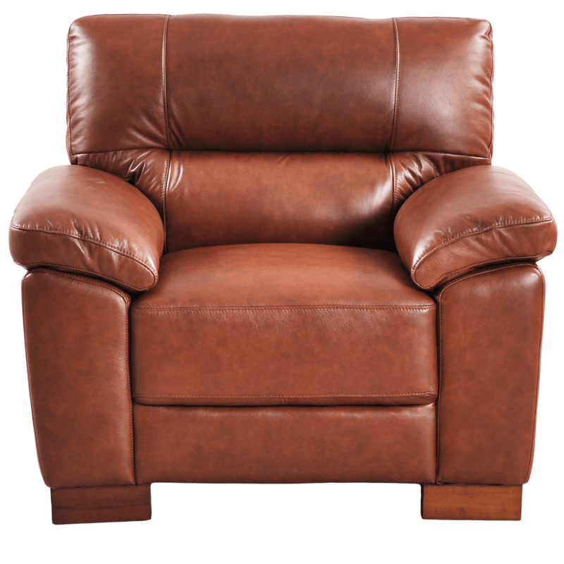 Tan armchair front facing on white background with modern sleek design