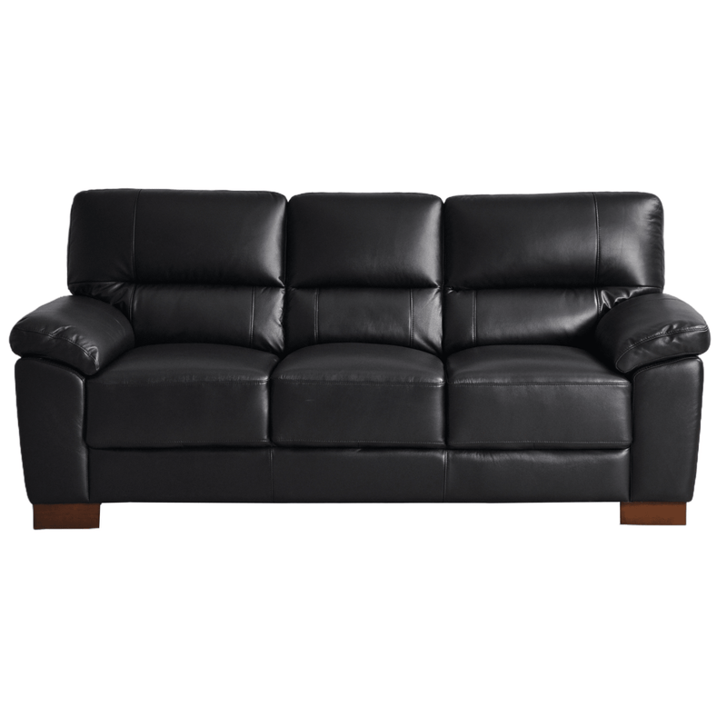 Black leather sofa on a white background