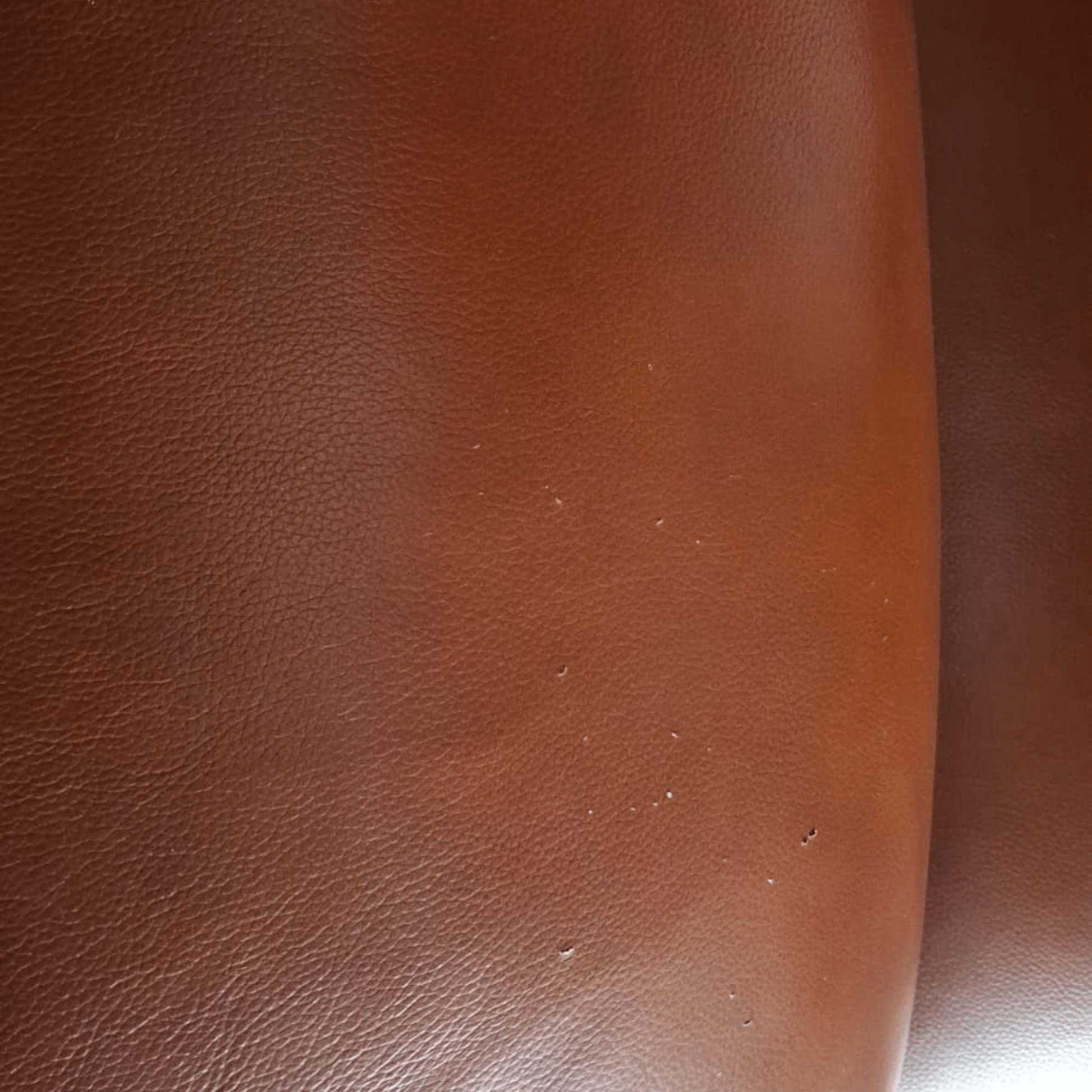 outlet-dalmore-tan-leather-armchair