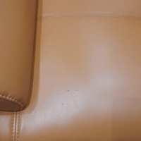 Close-up of a beige leather surface with a stain.