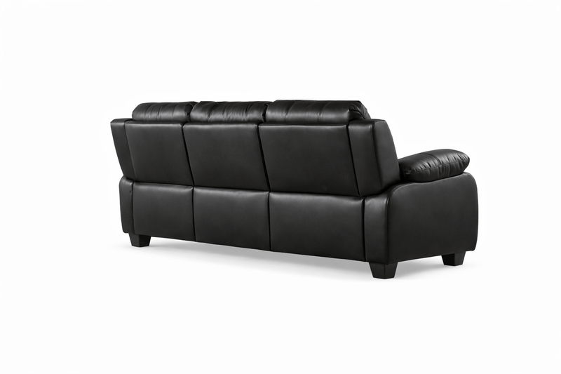 Black leather sofa on a white background