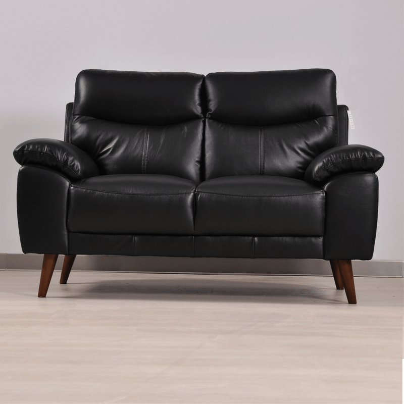 Vantage black 2-seater sofa in a modern living room with neutral decor, warm lighting, and stylish accents