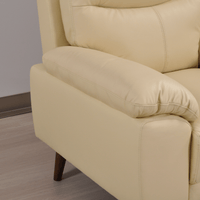 Vantage Cream 2-seater sofa, close-up in room setting, stylish and cozy living room seating