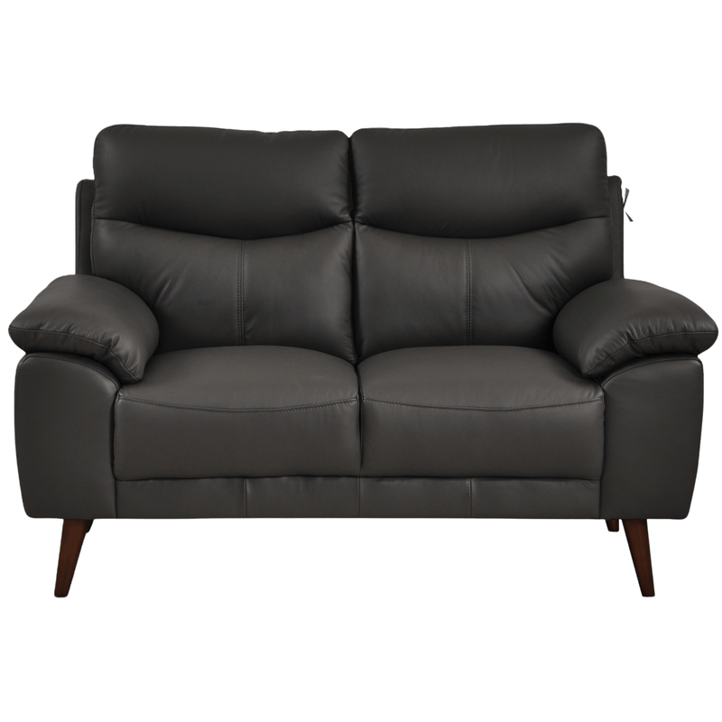 Vantage Grey 2-Seater Sofa front facing on white background, showing cushions, clean lines, and modern design details