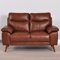Vantage tan 2-seater sofa in a modern living room with neutral decor, warm lighting, and stylish accents