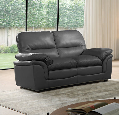 Gray leather sofa in a living room with large windows and a rug.